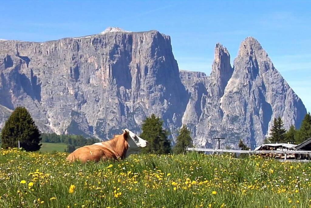 Fantastico Monolocale In Siusi Sciliarアパートメント エクステリア 写真