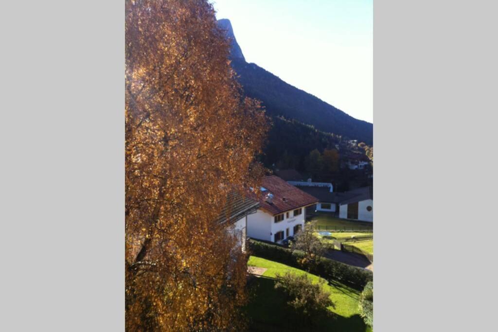 Fantastico Monolocale In Siusi Sciliarアパートメント エクステリア 写真